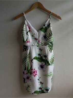 Fashion Nova Bodycon Mini Dress